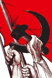 226225_1016023005398_8026_n