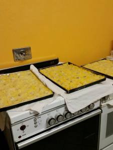 12208407_10206407777326828_4704903747828370982_n