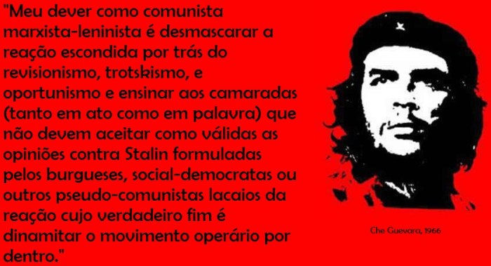 che-guevara1232976553