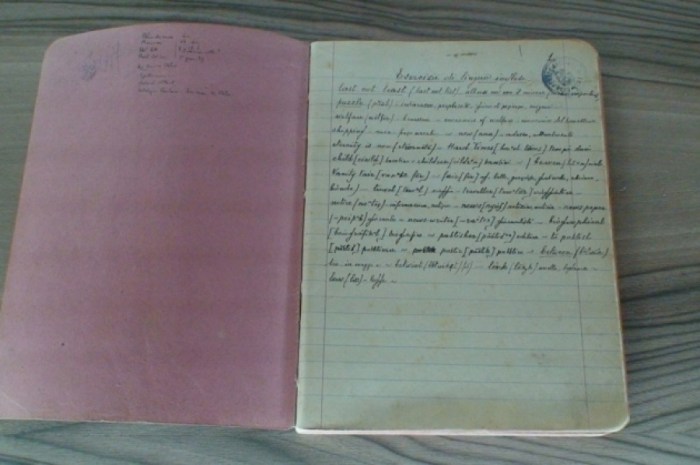 eb806af4cba7a29cade37d1616e34881_XL